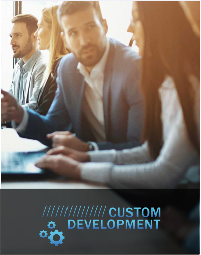 Zum Bereich Custom Development